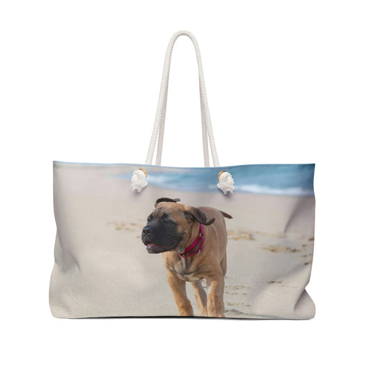 Oversized Bull Mastiff Beach Bag - Gift Shop