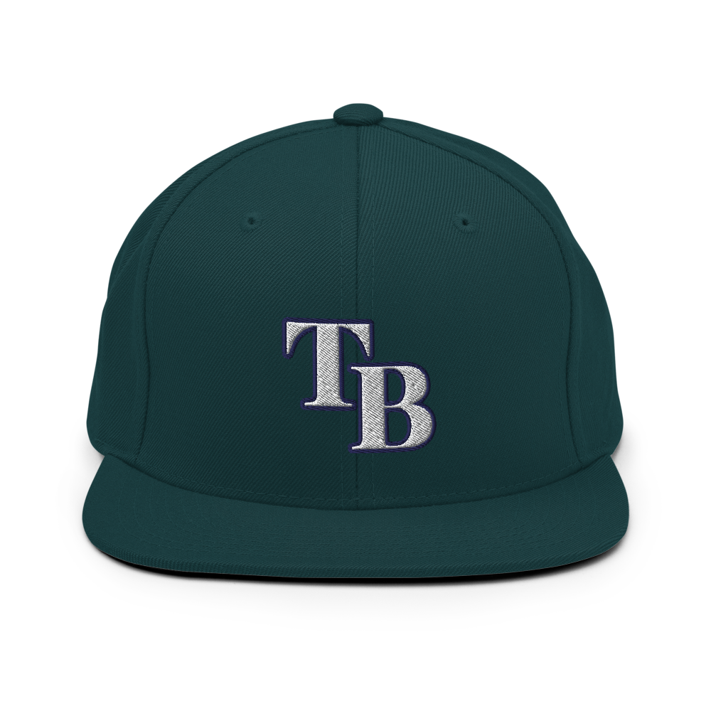 TB Block Snapback Hat - White - The Hook Up