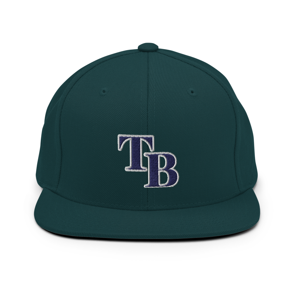 TB Block Snapback Hat - Navy - The Hook Up