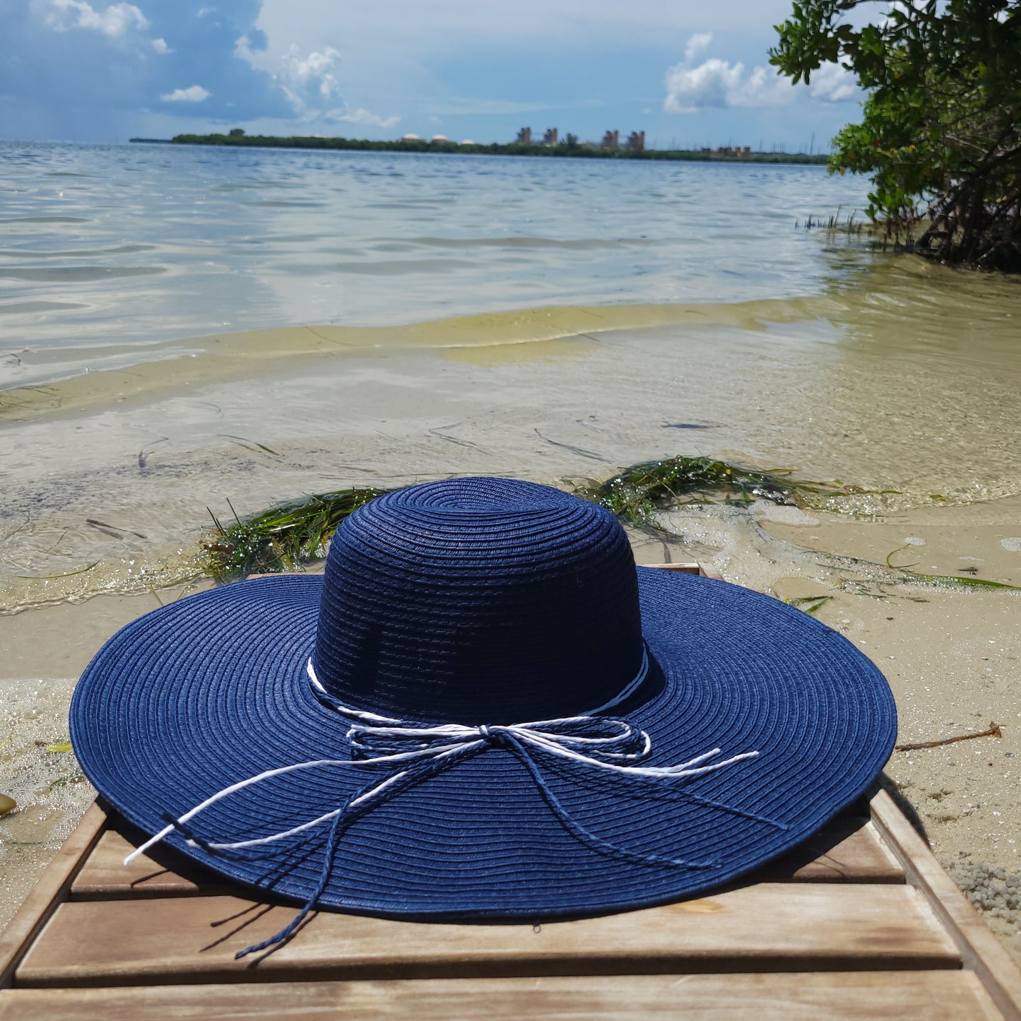 Women's Oversized Straw Beach Hat - Blue