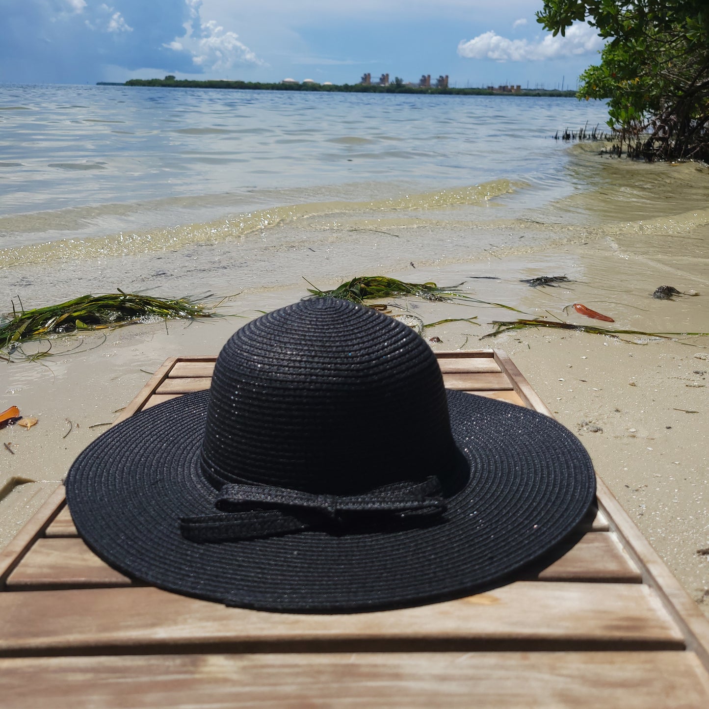 Women's Hepburn Straw Beach Hat - Onyx Black