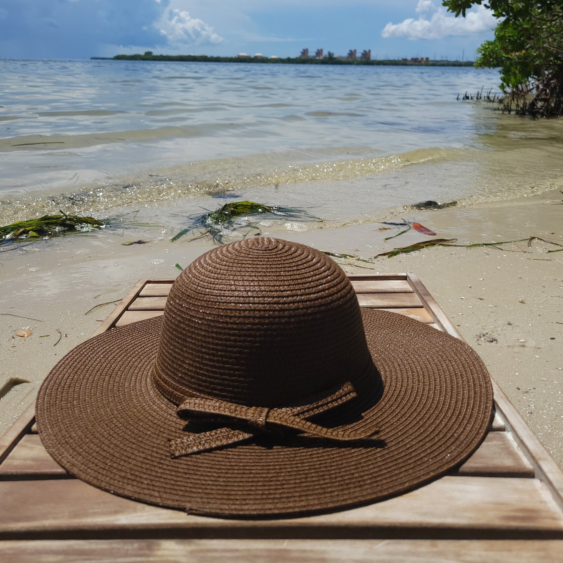 Women's Hepburn Straw Beach Hat - Mocha Brown 
