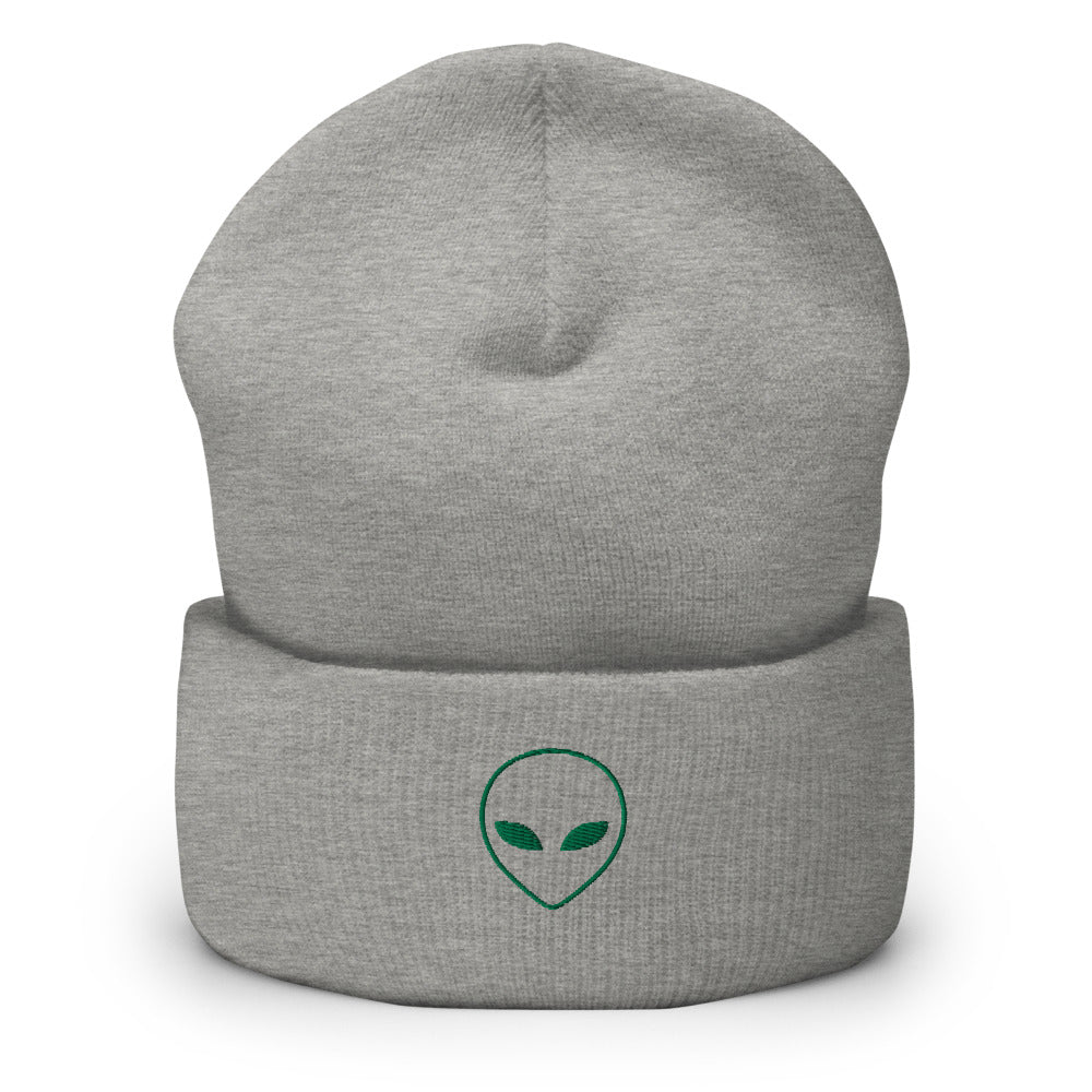 Alien Icon Beanie - Souvenir Shop - Grey Front