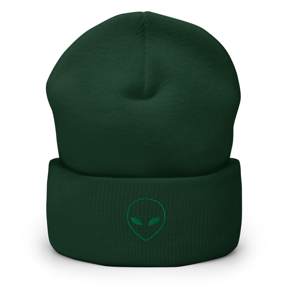 Alien Icon Beanie - Souvenir Shop - Green Front