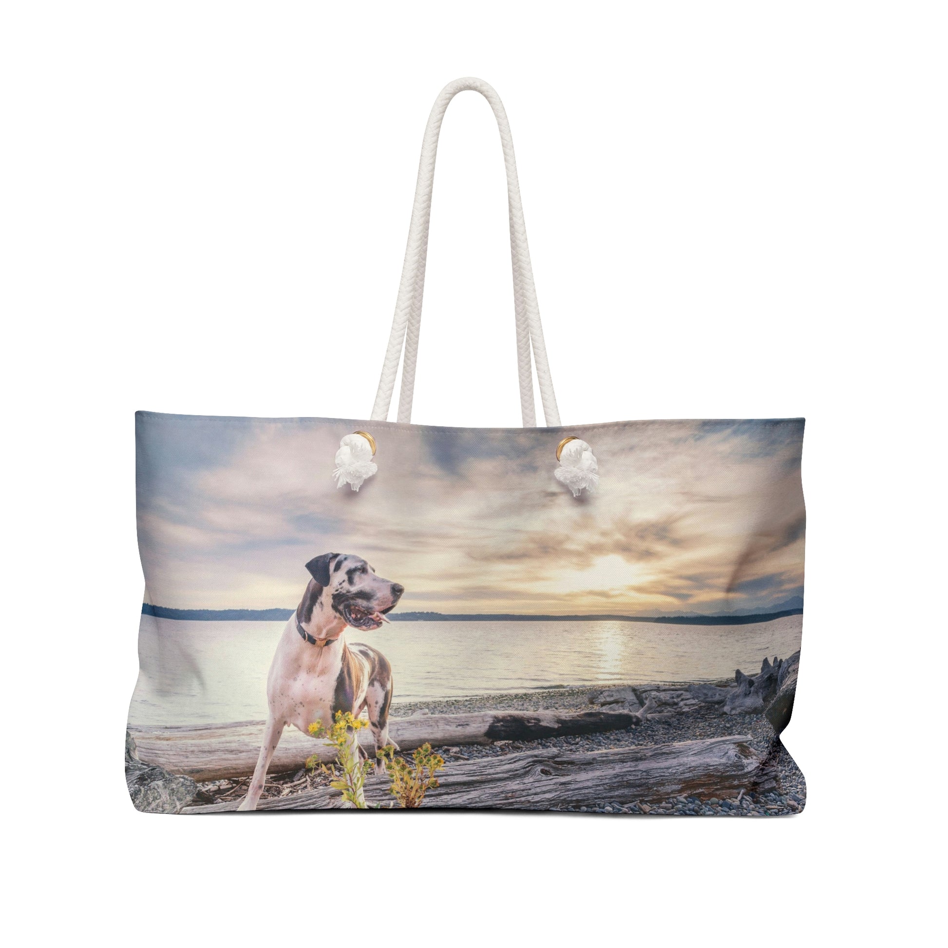 Oversized Great Dane Beach Bag - Gift Shop - The Hook Up
