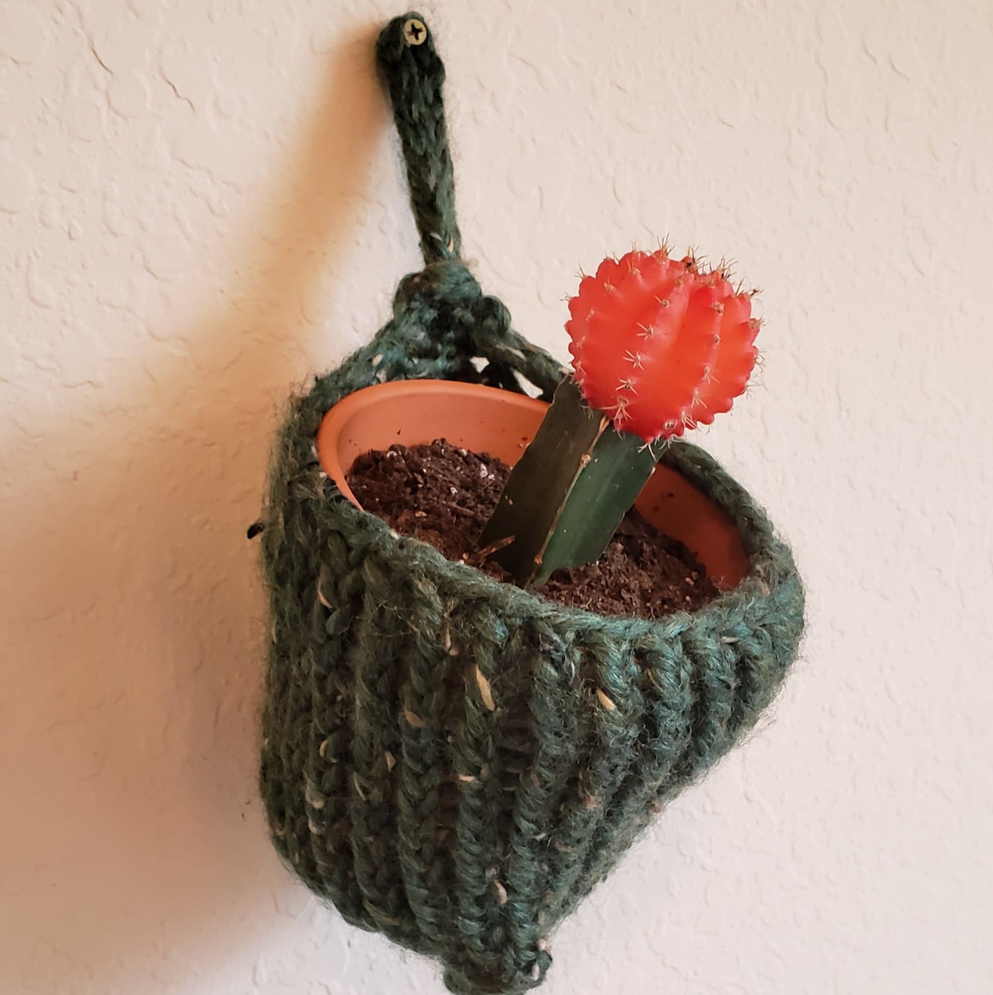 Small Plant Hanger - The Hook Up